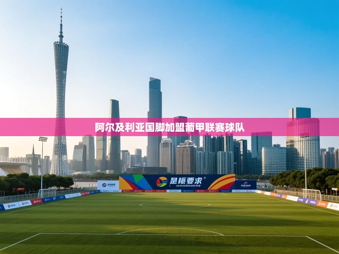 阿尔及利亚国脚加盟葡甲联赛球队  第1张