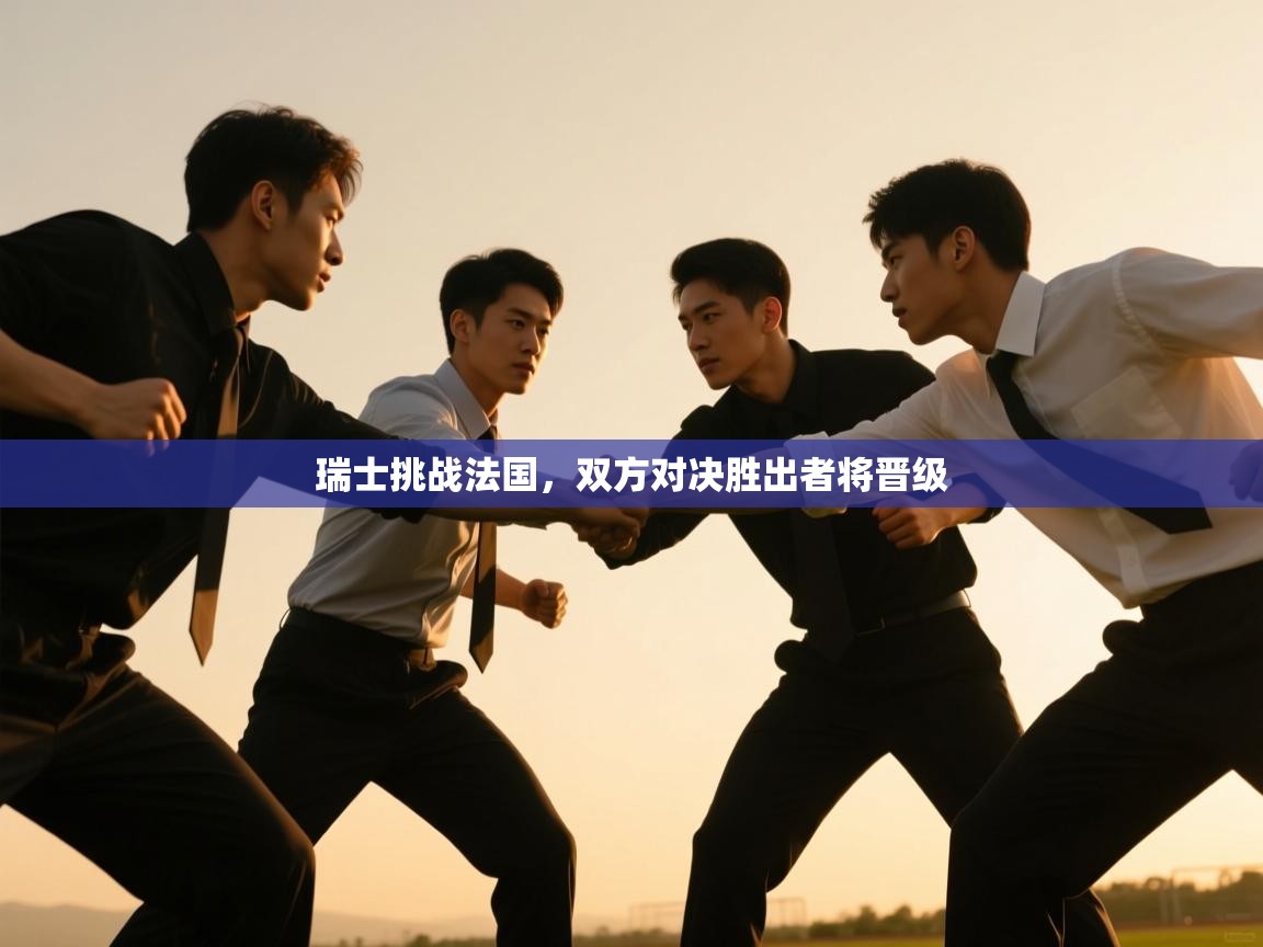 瑞士挑战法国,双方对决胜出者将晋级 第2张