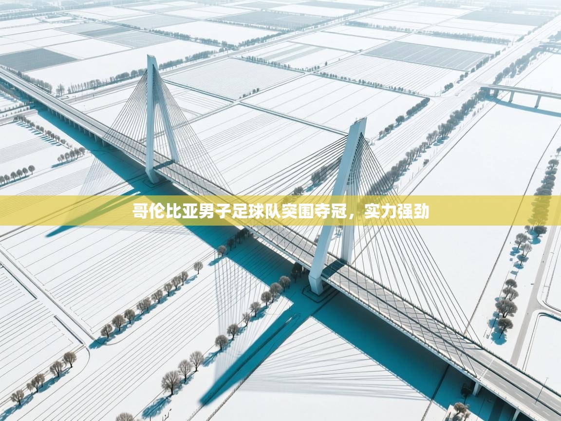 哥伦比亚男子足球队突围夺冠，实力强劲  第1张