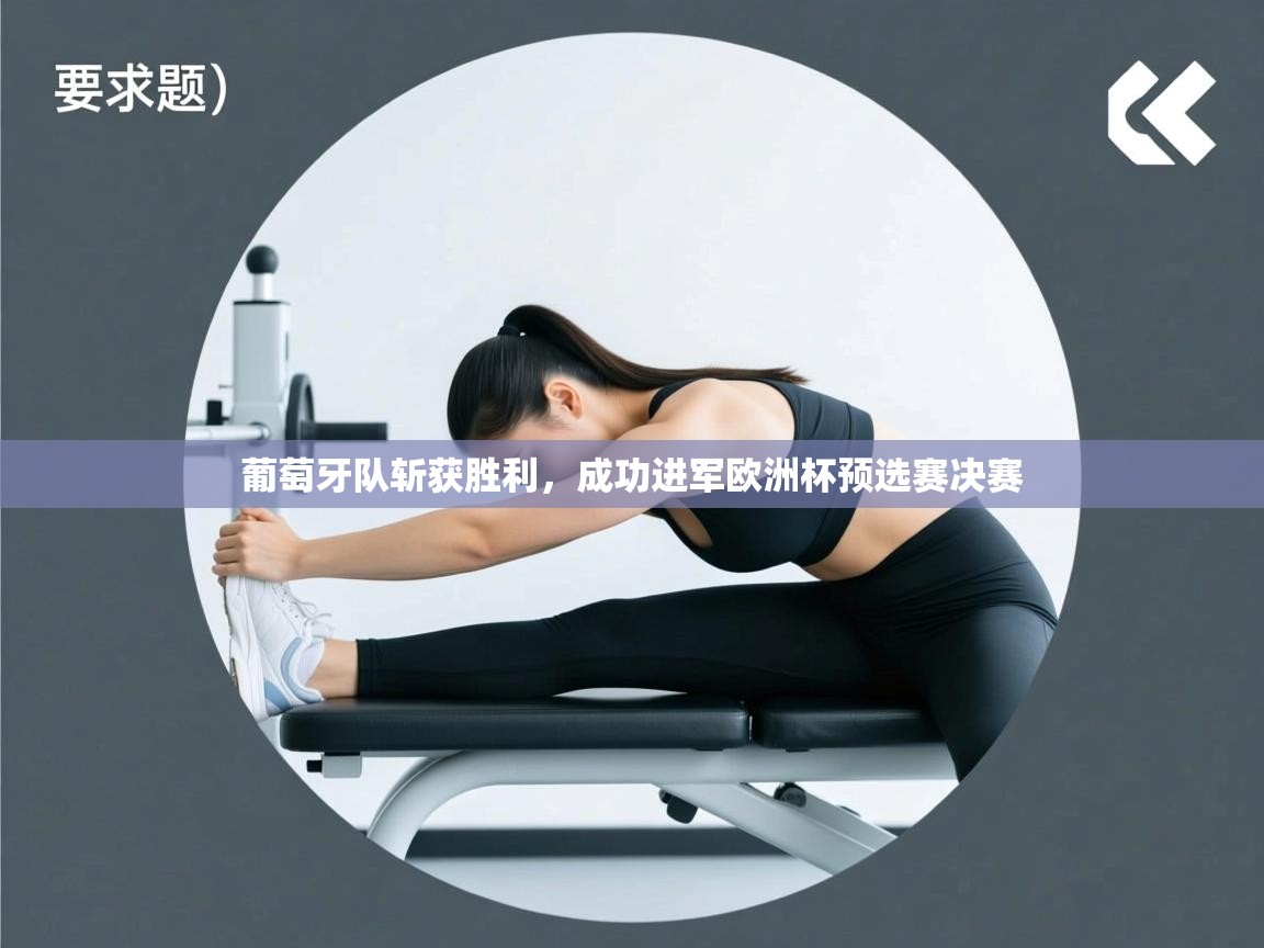 葡萄牙队斩获胜利，成功进军欧洲杯预选赛决赛  第2张