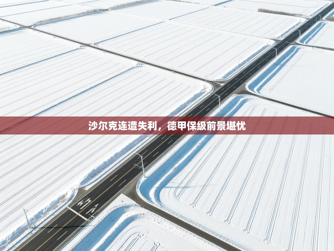 沙尔克连遭失利,德甲保级前景堪忧 第1张