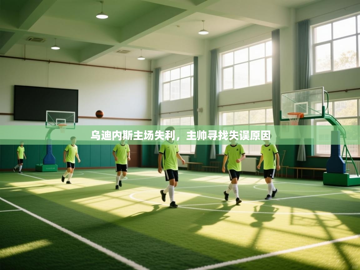 乌迪内斯主场失利，主帅寻找失误原因  第1张